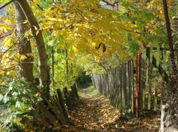 Chodník z ulice Vodárenská na Hornú Ružovú