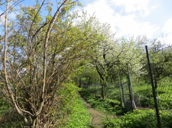 Cesta z Dolnej Resly na Hornú Reslu