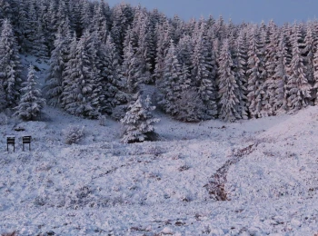 Horná Roveň 28.11.2020