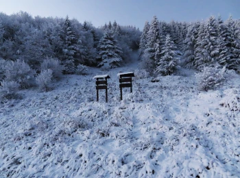 Horná Roveň 28.11.2020