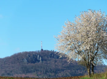 5.5.2021 - pohľad z Komorovských lúk