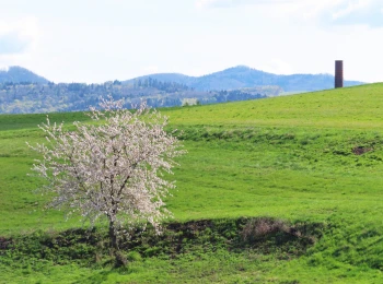 5.5.2021 - pohľad z Komorovských lúk