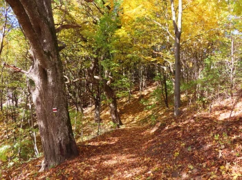 Október 2021 - cesta na Klinger