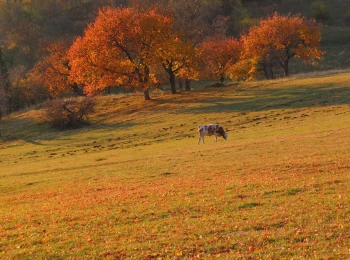 Október 2021 - pod Kalváriou
