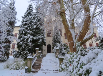 December 2021 - v Botanickej záhrade