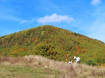 Október 2021 - kravy pod Anderlochom