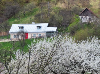 Banicky dom pod Paradajsom