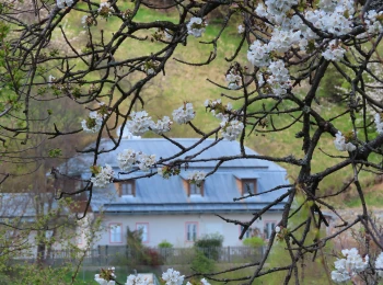 Banicky dom pod Paradajsom