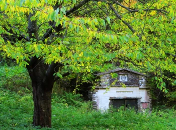 Jeseň 2022 - Klinger štôlňa krátka