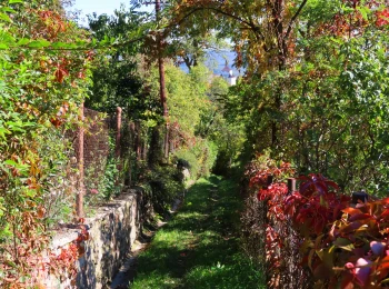 Jeseň 2022 - chodník nad starou nemocnicou