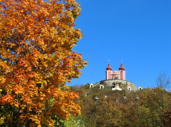 Kalvaria na jeseň 16.10.2024