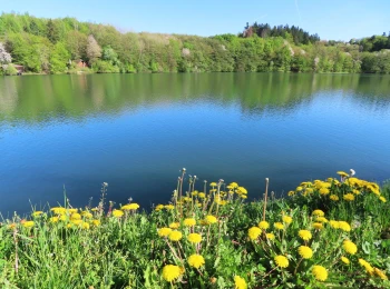 Richňavský tajch 27.4.2025