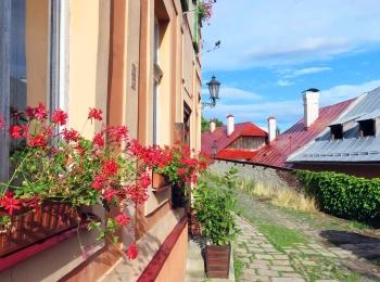 Dolná Ružová ulica -  23.7.2025