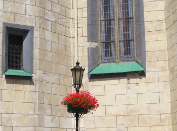 Dolná Ružová ulica -  2.8.2025