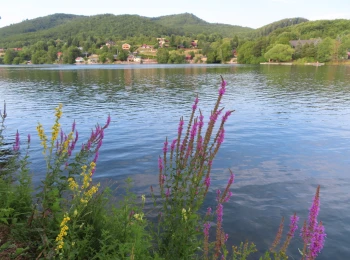 Banský Studenec - tajch 15.7.2025