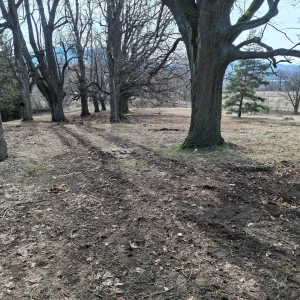 2.3.2026 - rekonštrukcia kalvárie