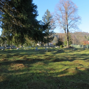Stredný cintorín na Štefultove