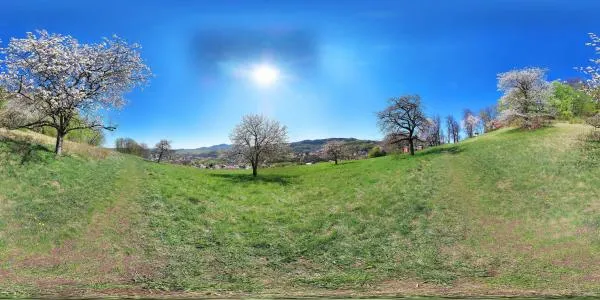 Jar pri kalvárii B. Štiavnica